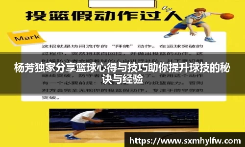 杨芳独家分享篮球心得与技巧助你提升球技的秘诀与经验